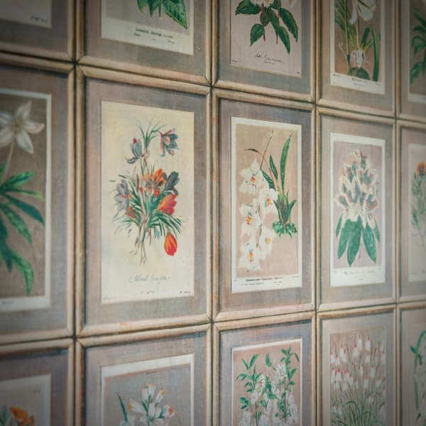 Papier peint Floral | Andrew Martin - vue de détail | REMO-HOME