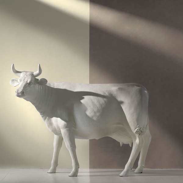 Papier peint Japan Thunder - Lacquered | Andrew Martin - vue de détail | REMO-HOME