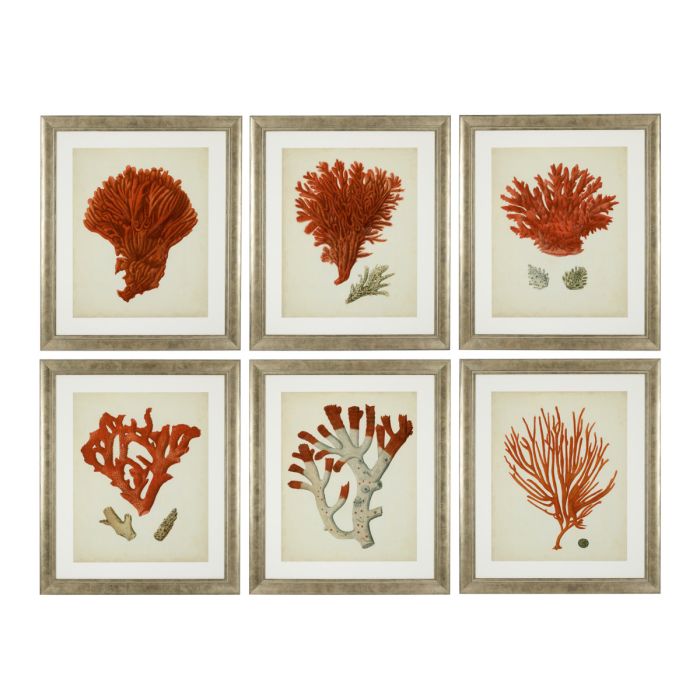 Impression d'art de coraux (lot de 6) | Eichholtz Corals