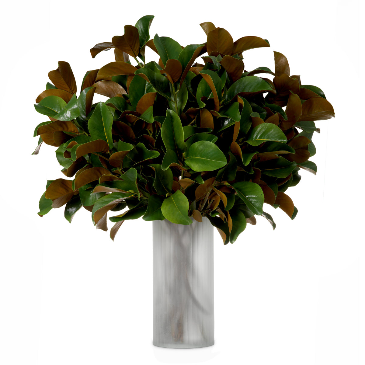 Fagot de feuilles de magnolia 24 pcs | Eichholtz Bundle of Magnolia leaves 24 pcs - vue principale | REMO-HOME