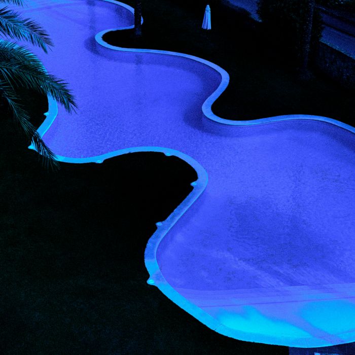 Photographie noire et mauve | Eichholtz See you at midnight
