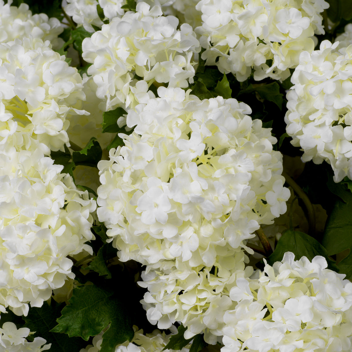 Bouquet de fleurs en hortensias neigeux de toucher réel 36 pcs | Eichholtz Bouquet of Hydrangeas snowball - vue de détail | REMO-HOME