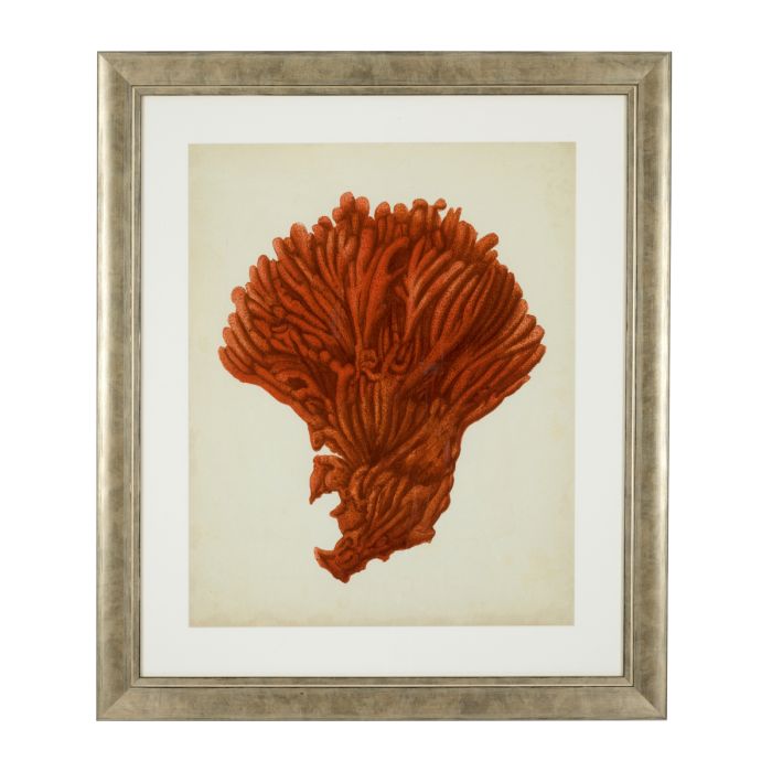 Impression d'art de coraux (lot de 6) | Eichholtz Corals