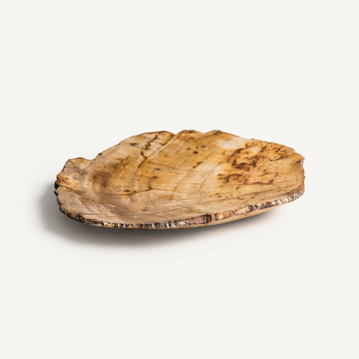 Vide-poche en bois fossilisé | VICAL Ikuah | REMO, mobilier et décoration d'intérieur