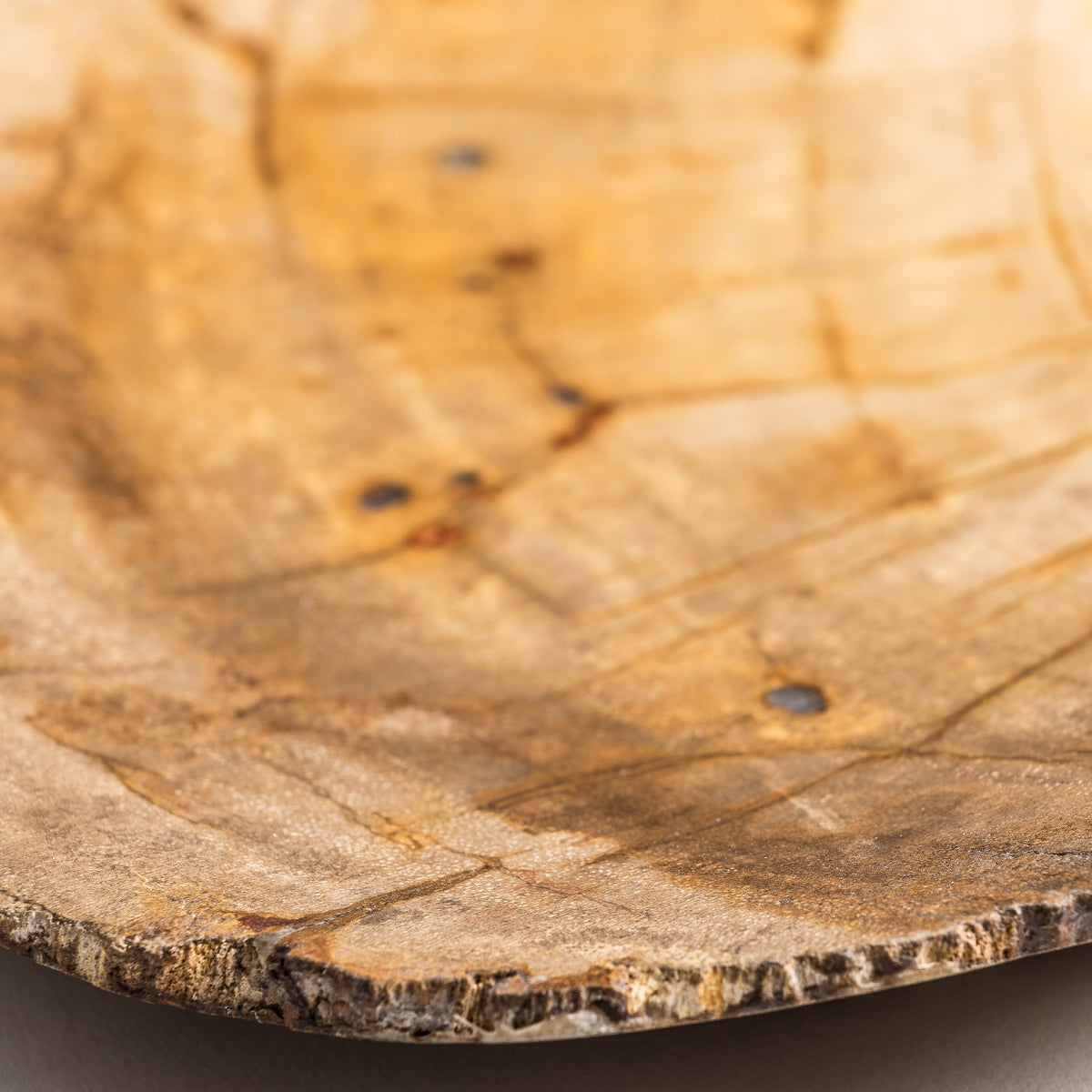 Vide-poche en bois fossilisé | VICAL Ikuah | REMO, mobilier et décoration d'intérieur