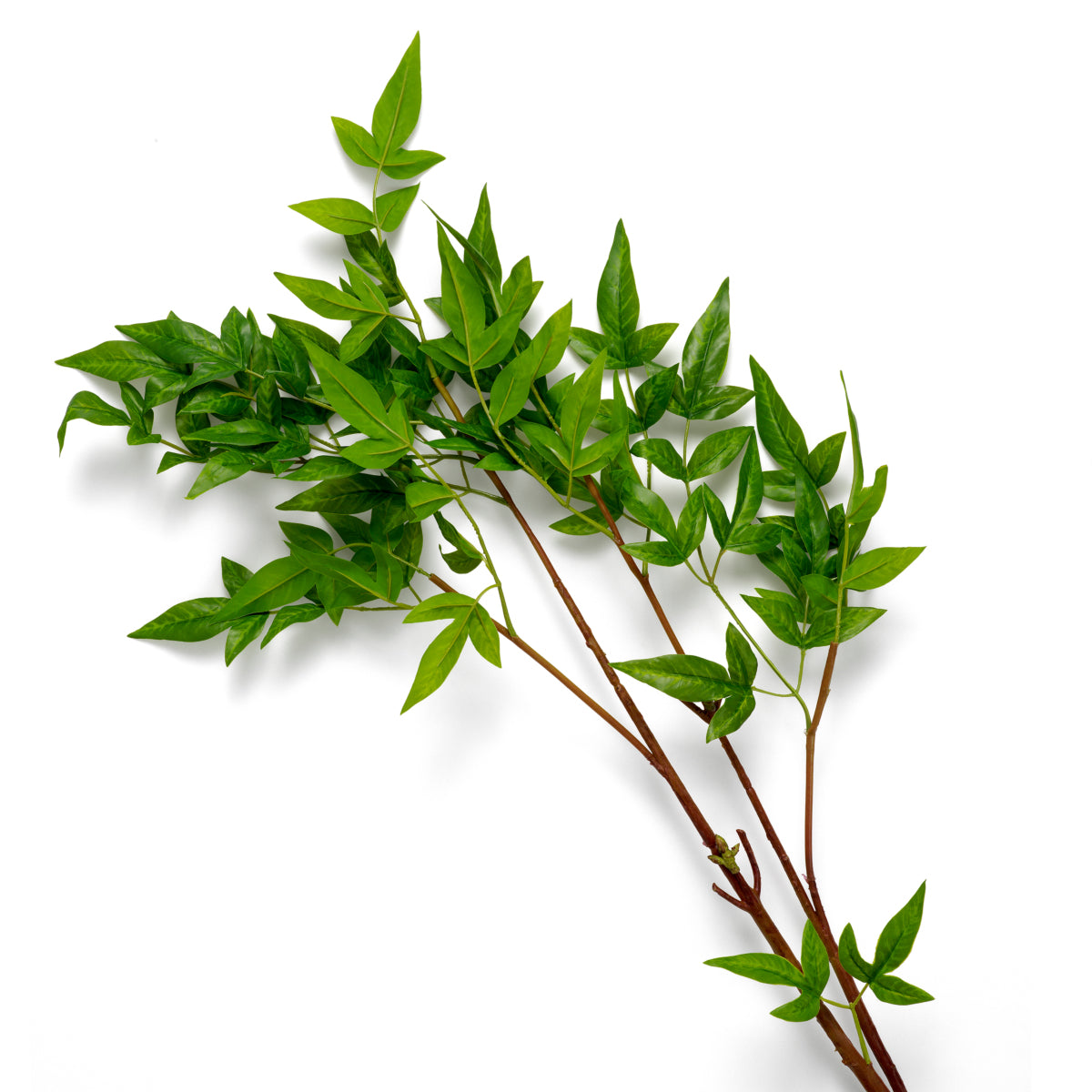 Ensemble de feuilles tendres 36 pièces | Eichholtz Bundle of Tender leaves 36 pcs - vue d'ambiance | REMO-HOME