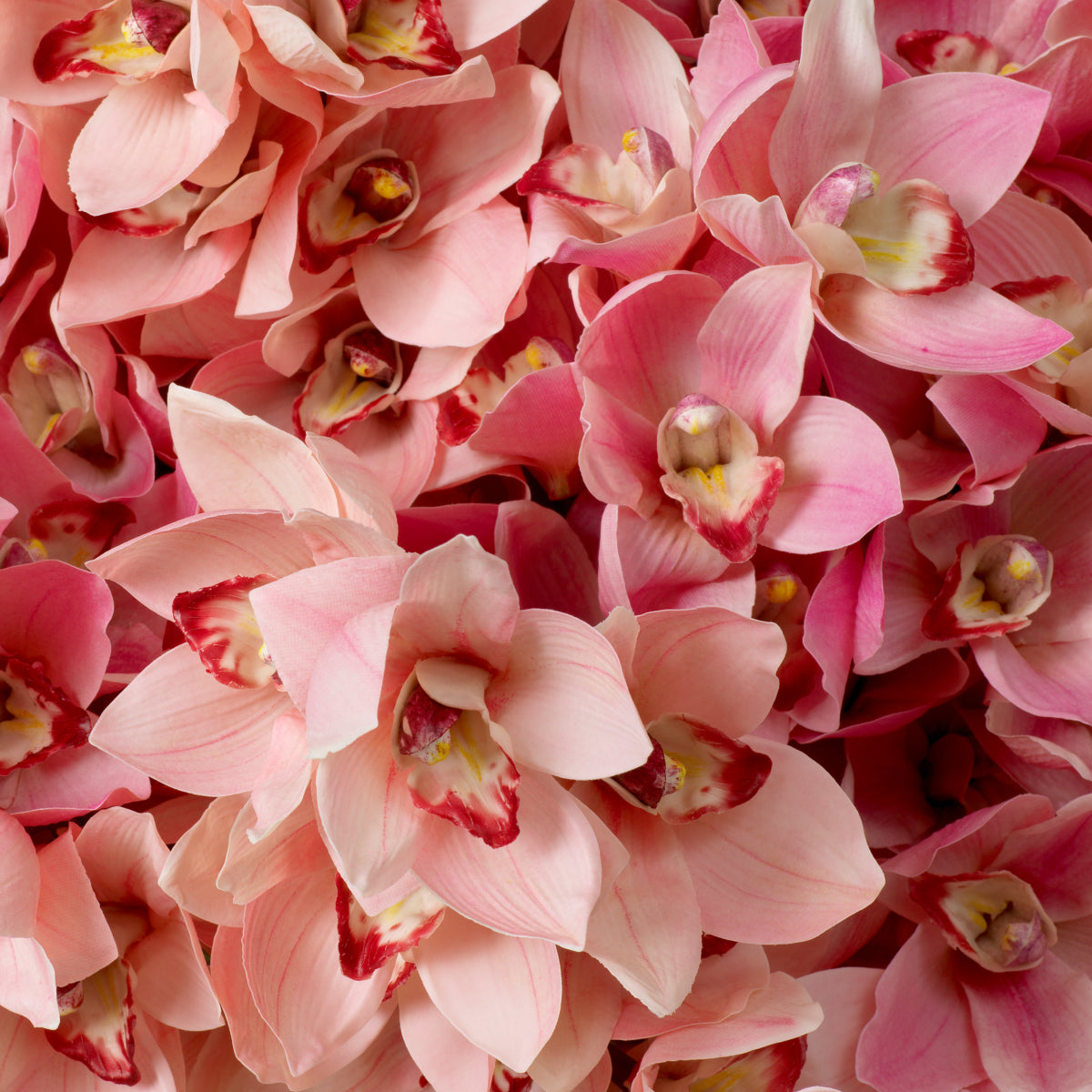 Bouquet de Cymbidium en tons de rose et de pêche | Eichholtz Bouquet of Cymbidium Orchids - vue d'ambiance | REMO-HOME