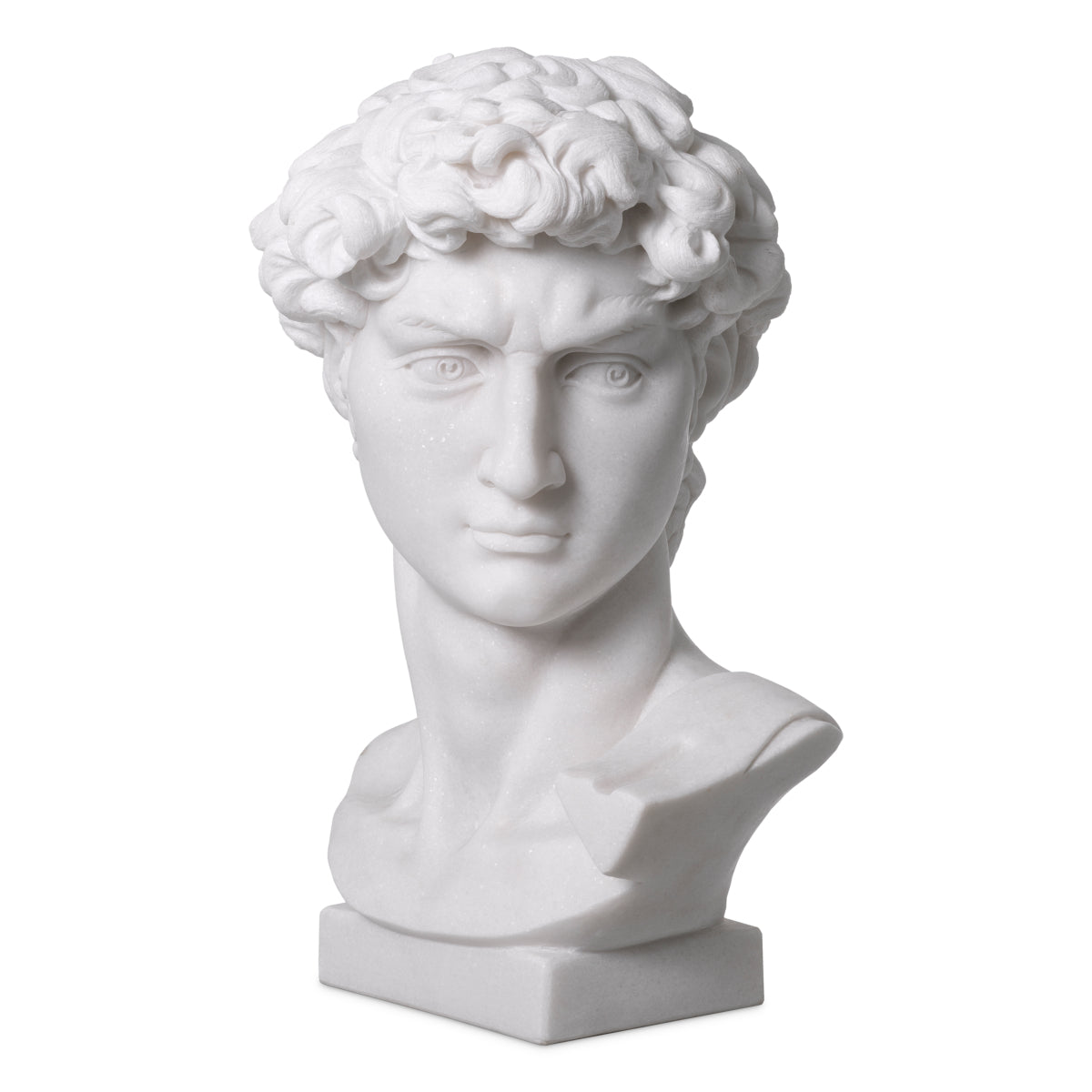 Sculpture Head en bronze avec socle en marbre | Eichholtz David - vue d'ambiance | REMO-HOME