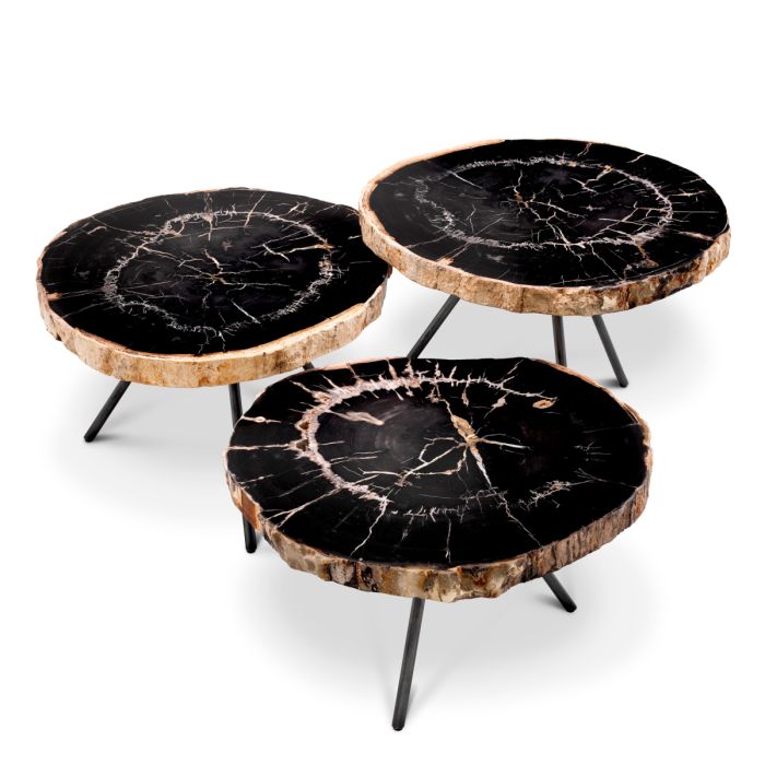 Table basse en bois pétrifié (lot de 3) | Eichholtz De Soto