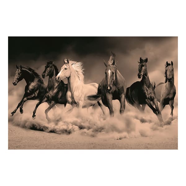 Photographie d'art Desert Royals | Andrew Martin - vue principale | REMO-HOME