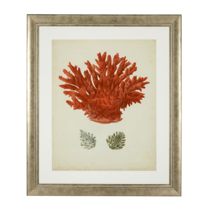 Impression d'art de coraux (lot de 6) | Eichholtz Corals