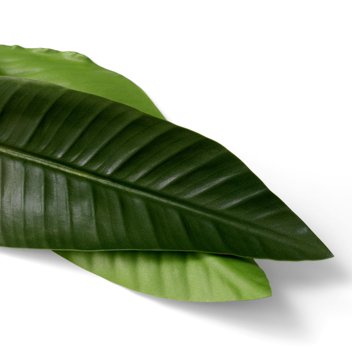 Fouquet de feuilles de Strelitzia 36 pcs | Eichholtz Bundle of Strelitzia leaves 36 pcs - vue d'ambiance | REMO-HOME