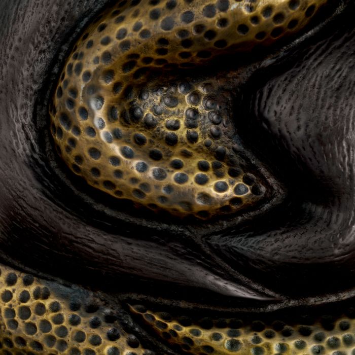 Applique murale dorée en bronze | Eichholtz Nuno