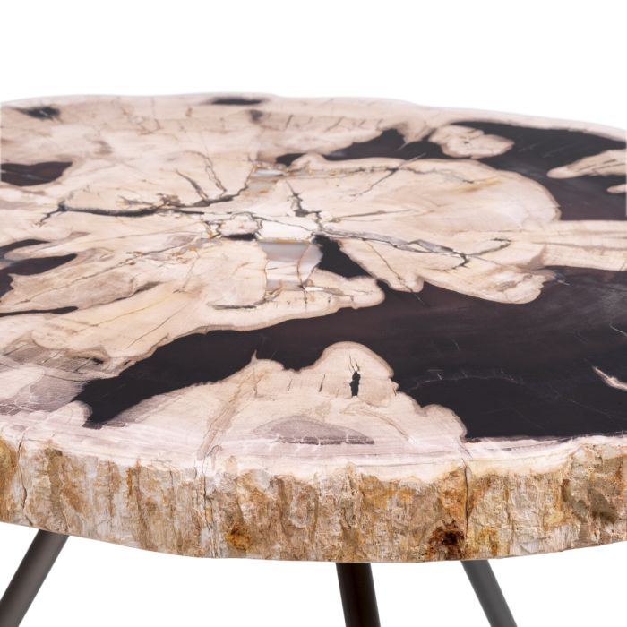 Table basse en bois pétrifié (lot de 3) | Eichholtz De Soto