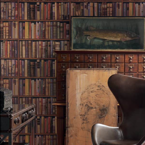 Papier peint Library Multi | Andrew Martin - vue principale | REMO-HOME