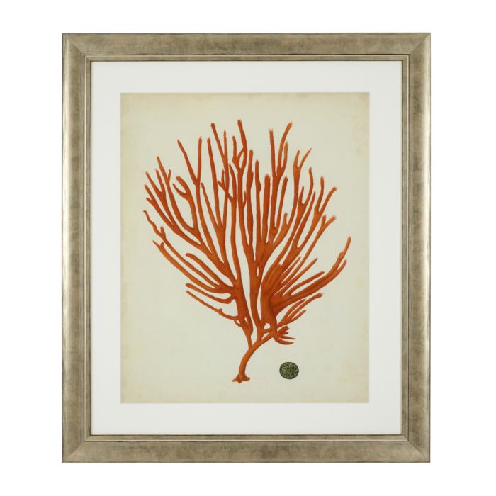 Impression d'art de coraux (lot de 6) | Eichholtz Corals