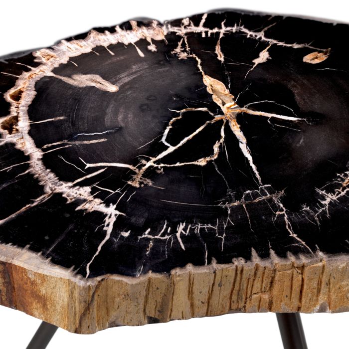 Table basse en bois pétrifié (lot de 3) | Eichholtz De Soto