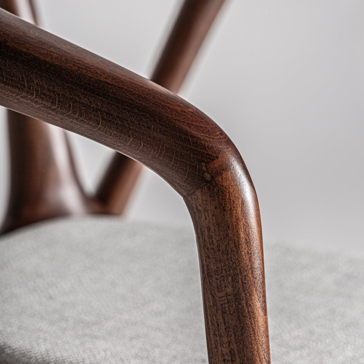 Chaise en bois de hêtre marron | VICAL Root | REMO-HOME, mobilier design et décoration d'intérieur