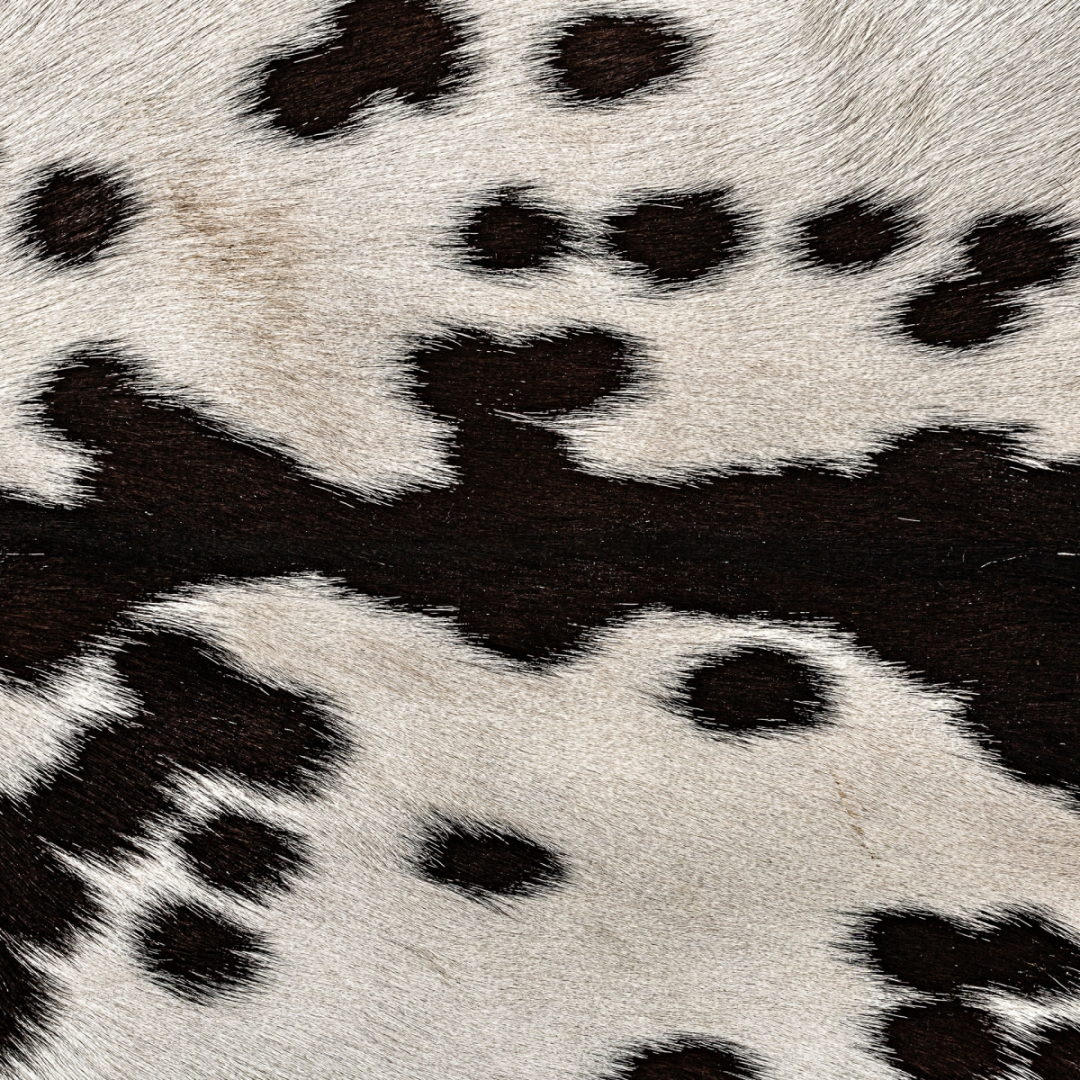 Fauteuil d'appoint en cuir et bois de manguier | Vical Helfaut | REMO, mobilier et décoration d'intérieur