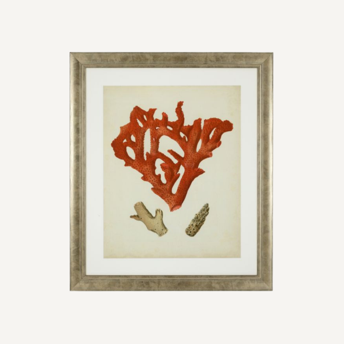 Impression d'art de coraux (lot de 6) | Eichholtz Corals | REMO-HOME, mobilier et décoration d'intérieur