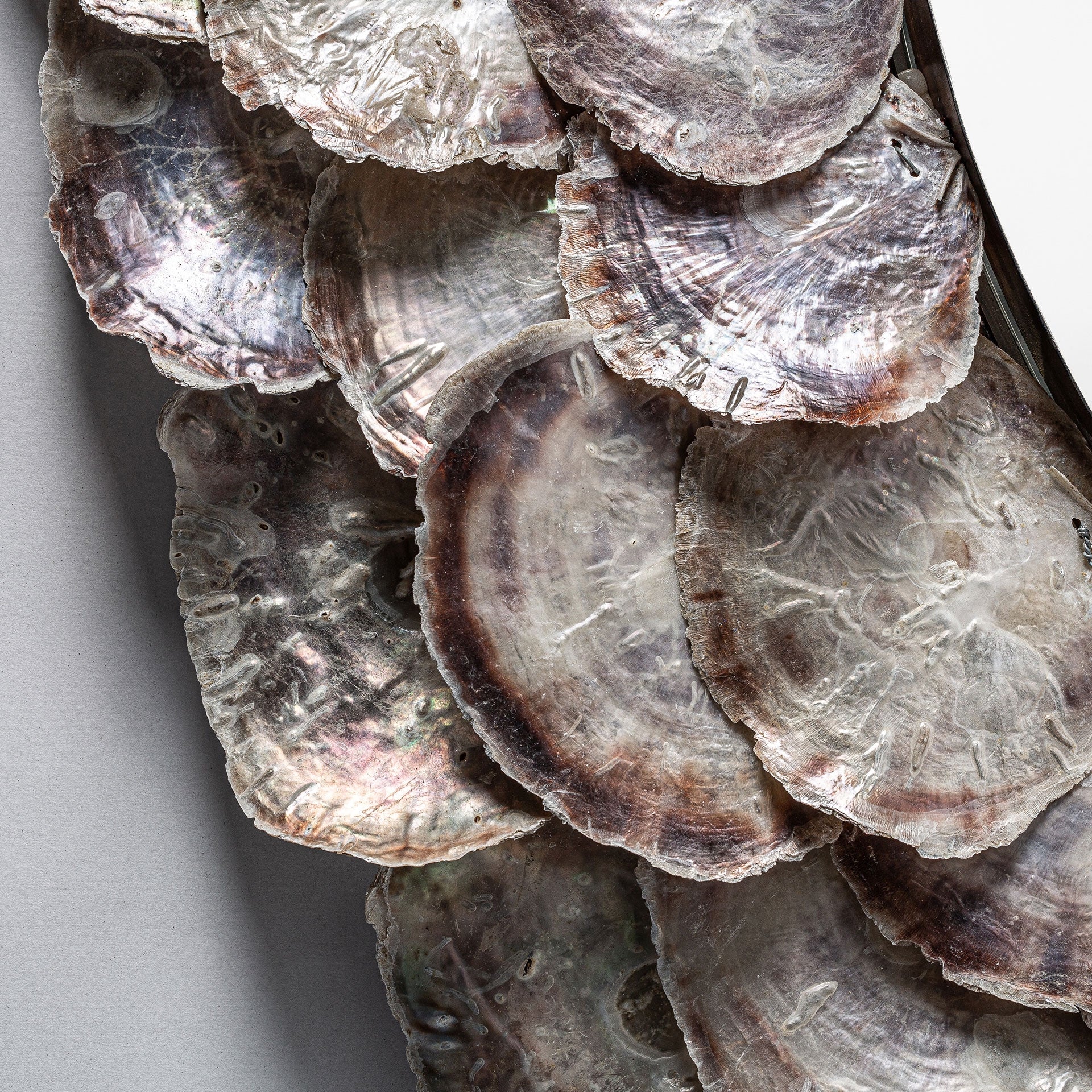 Miroir mural rond coquille d'huître ivoire | VICAL Inga | REMO-HOME, mobilier design et décoration d'intérieur