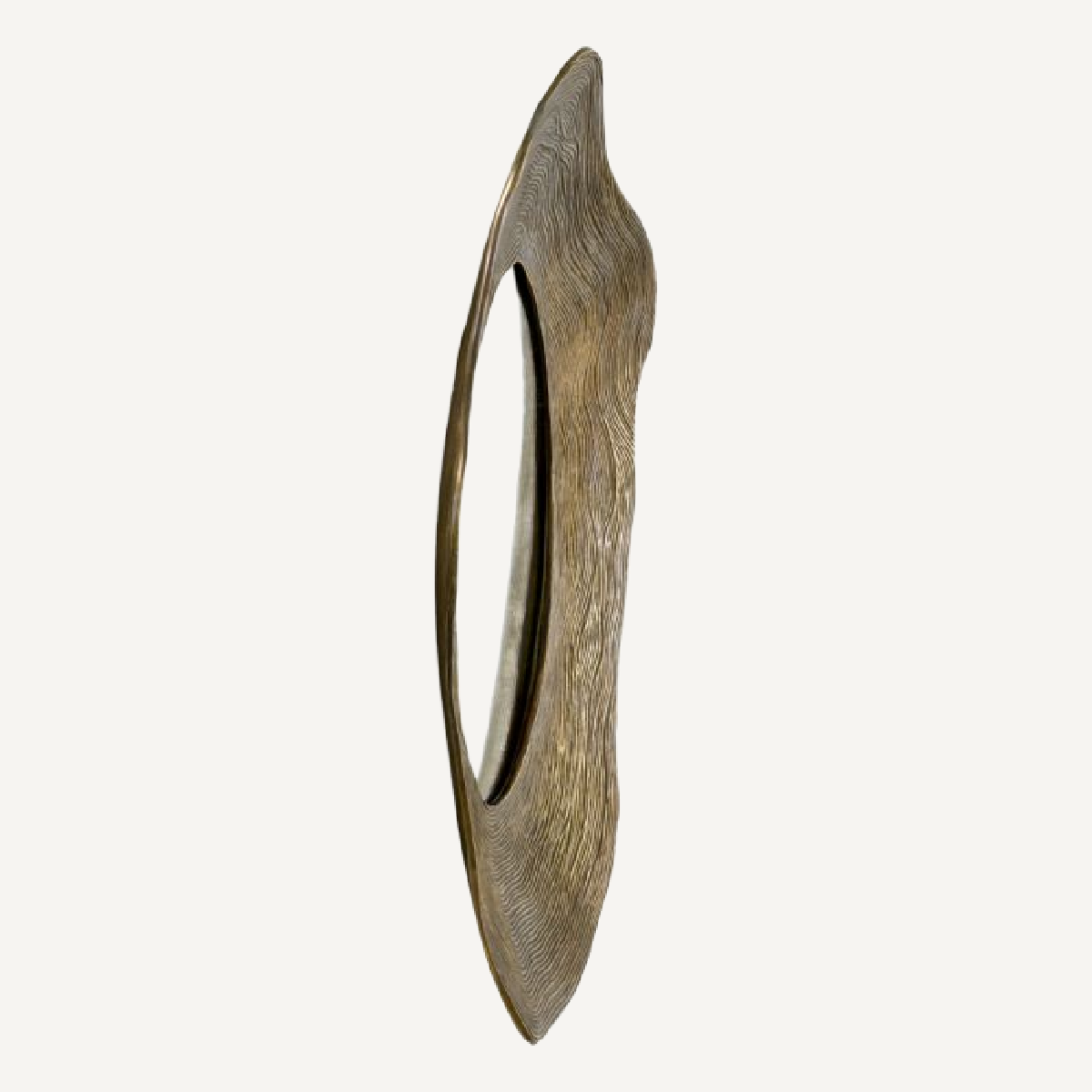 Miroir organique en métal vieilli | Eichholtz Pavona | REMO-HOME, mobilier et décoration d'intérieur