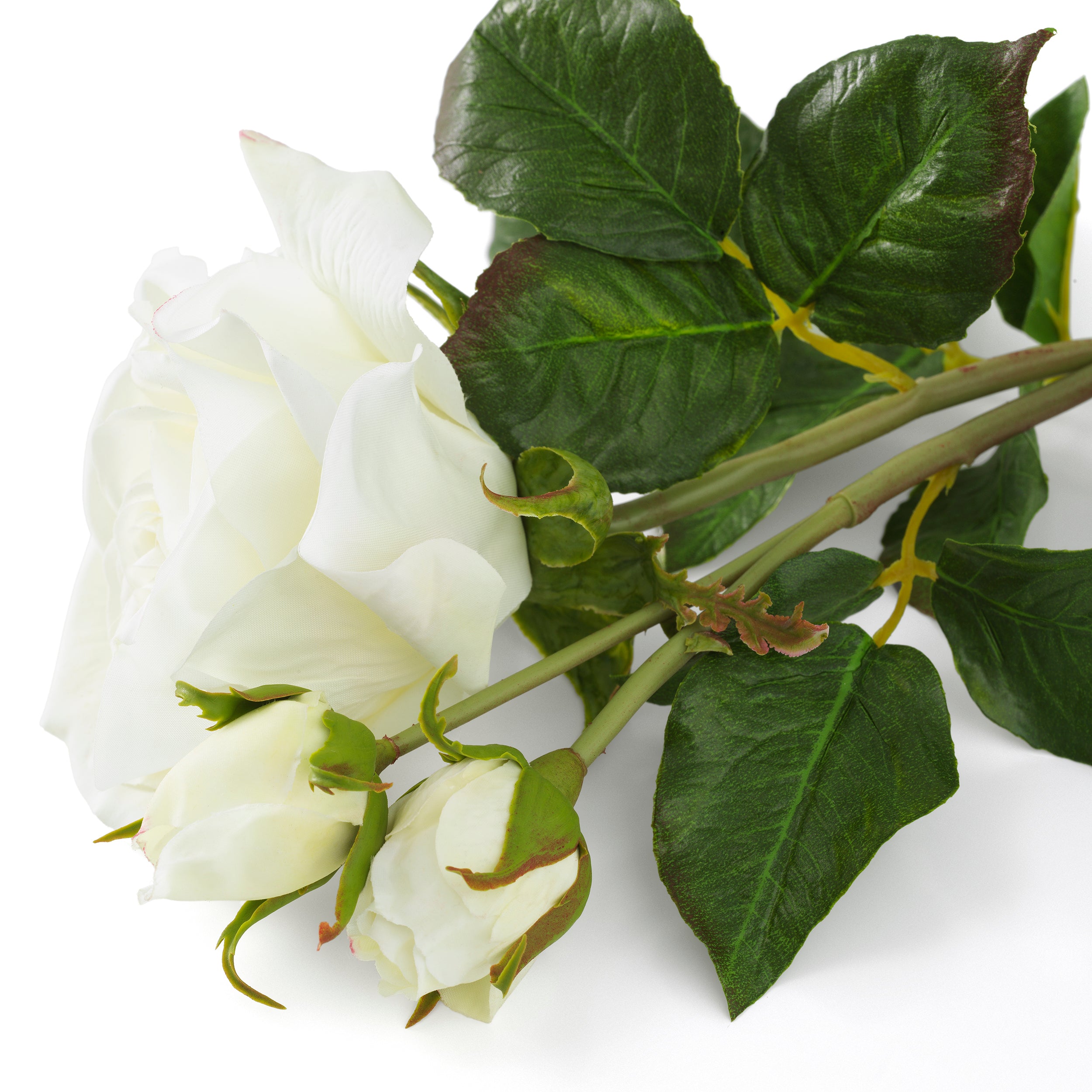 Decoration design en blanc tones | Eichholtz Bouquet of
