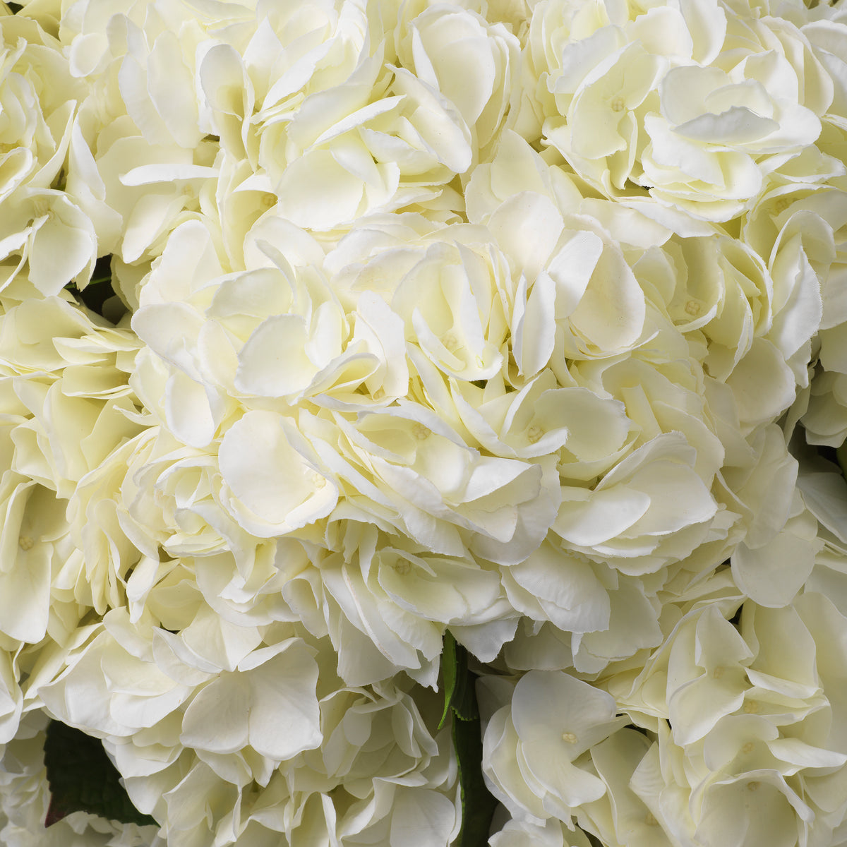 Decoration design en blanc tones | Eichholtz Bouquet of