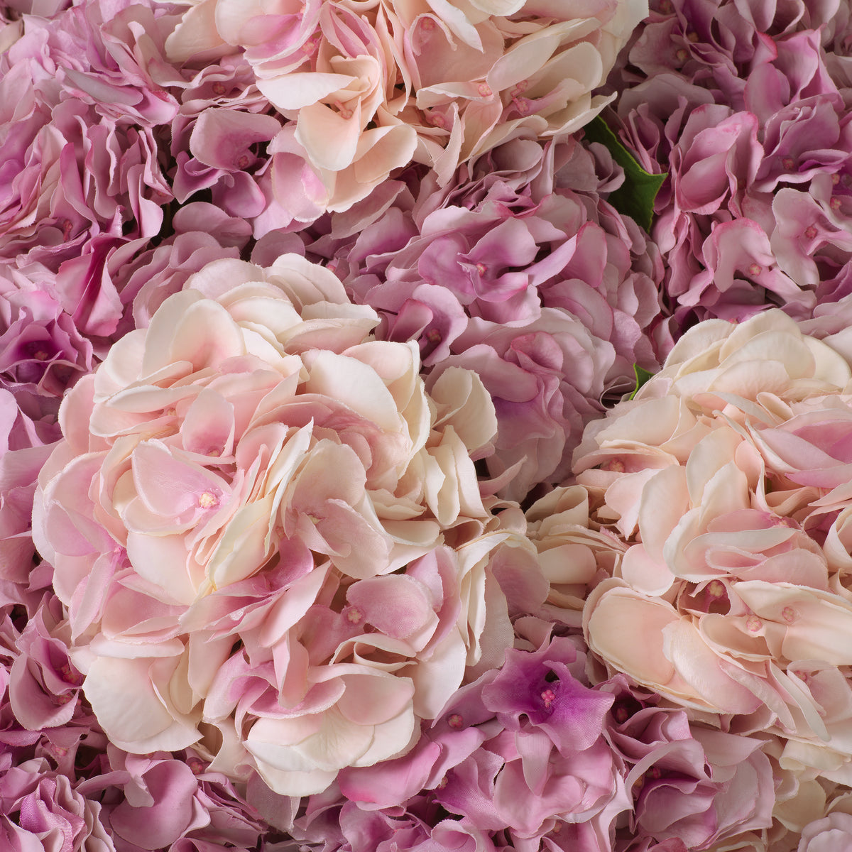 Decoration design en pink tones | Eichholtz Bouquet of