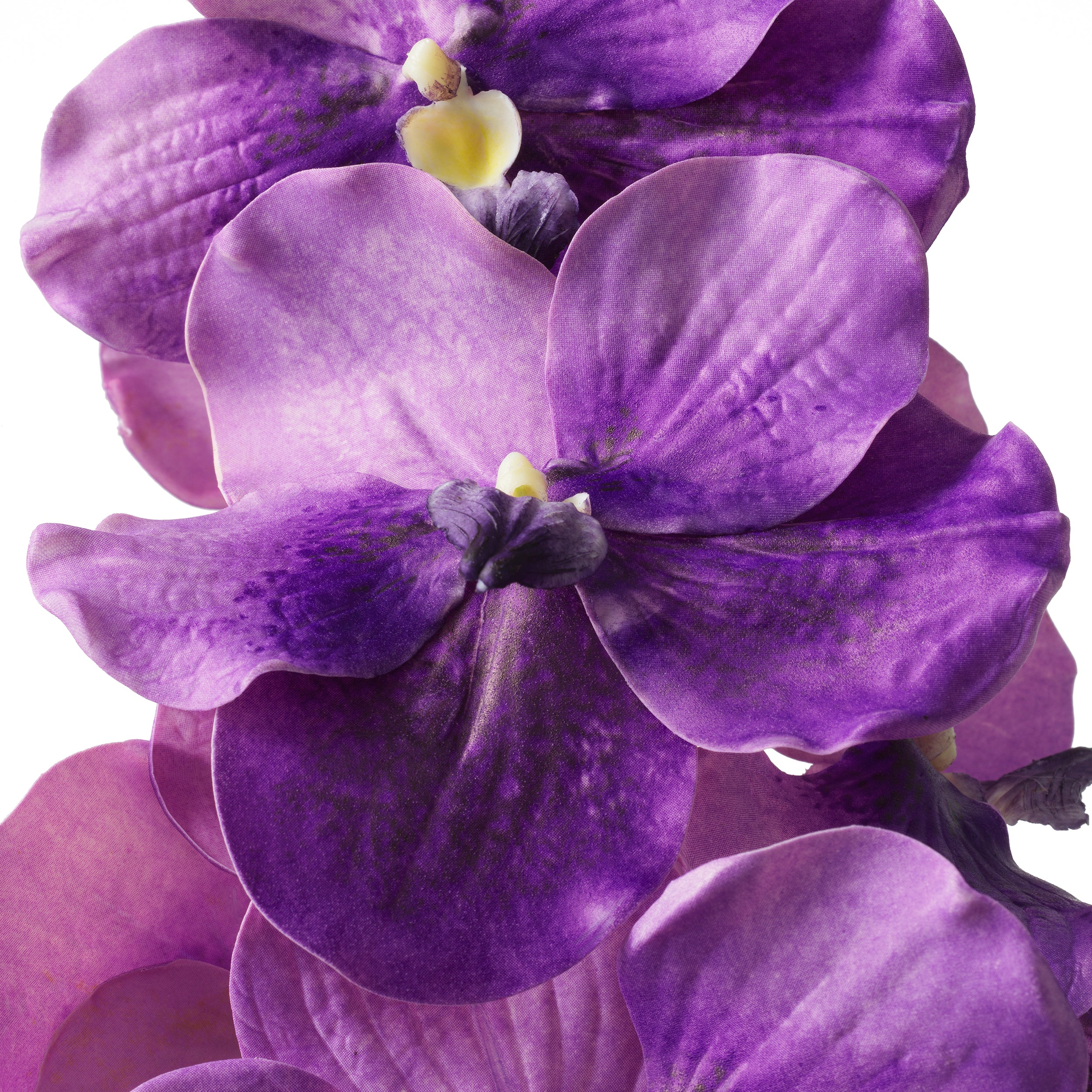 Decoration design en purple tones | Eichholtz Bouquet of