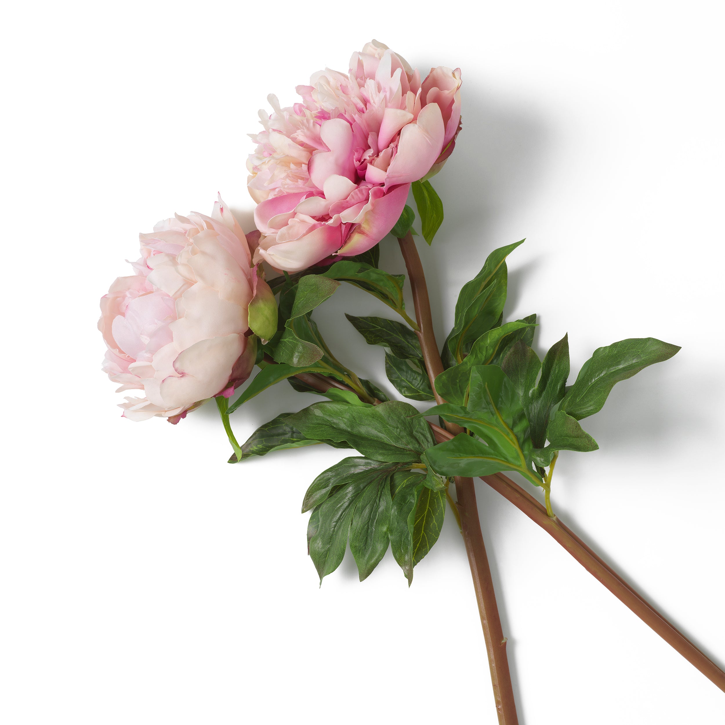 Decoration design en soft pink tones | Eichholtz Bouquet of