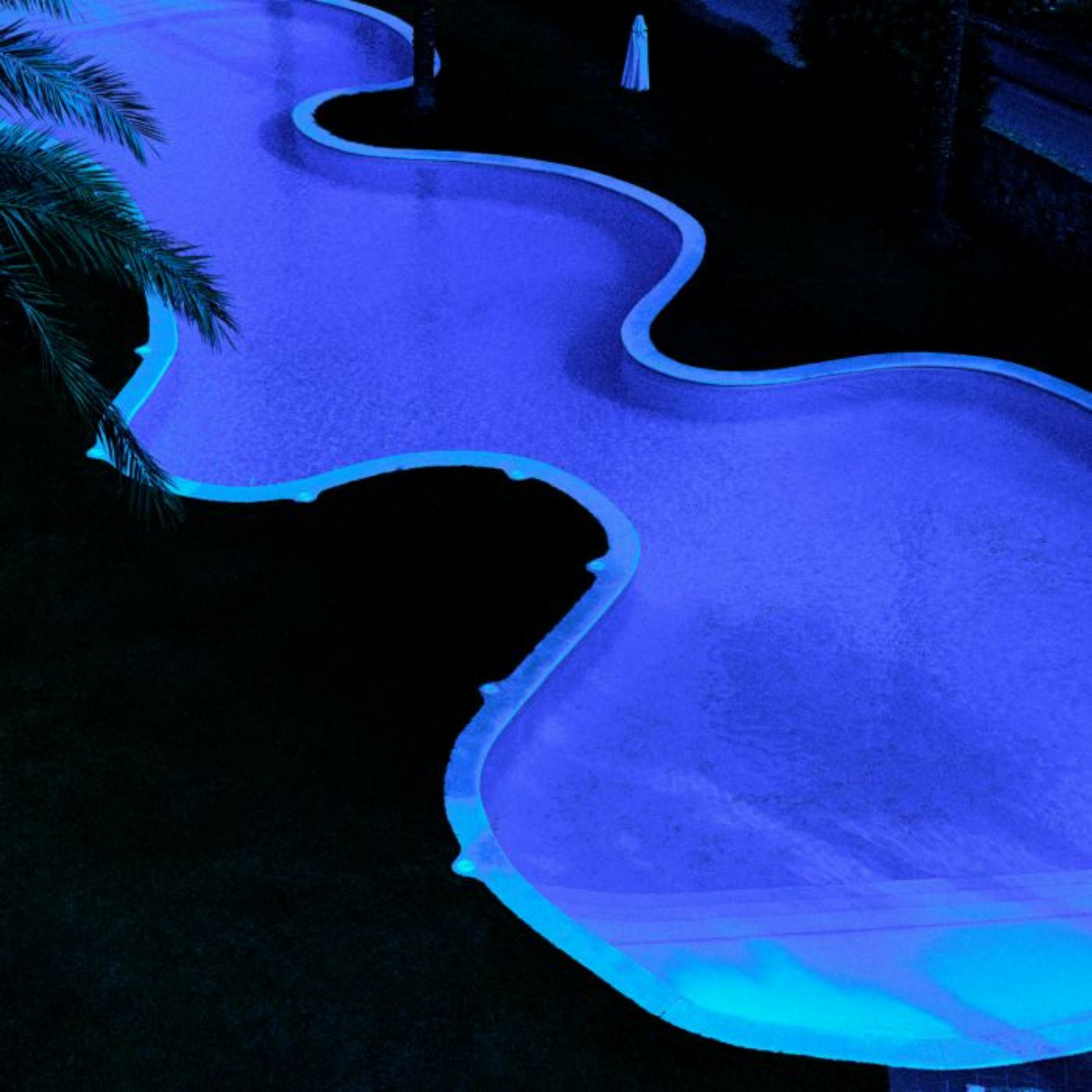 Photographie noire et mauve | Eichholtz See you at midnight | REMO-HOME, mobilier et décoration