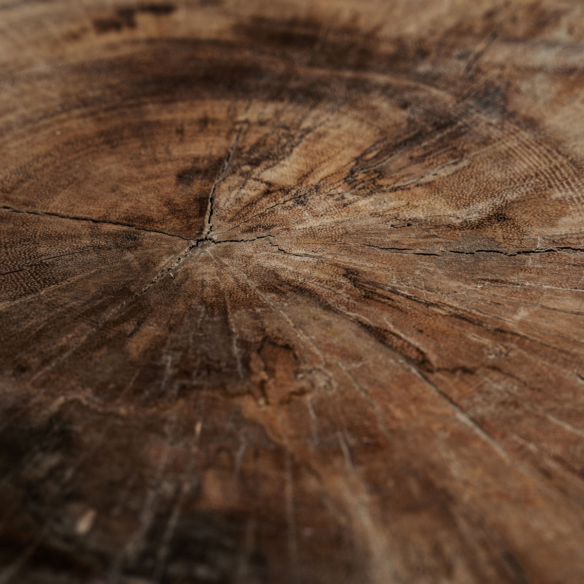 Table basse en bois de suar | VICAL Doucen | REMO-HOME, mobilier design et décoration d'intérieur