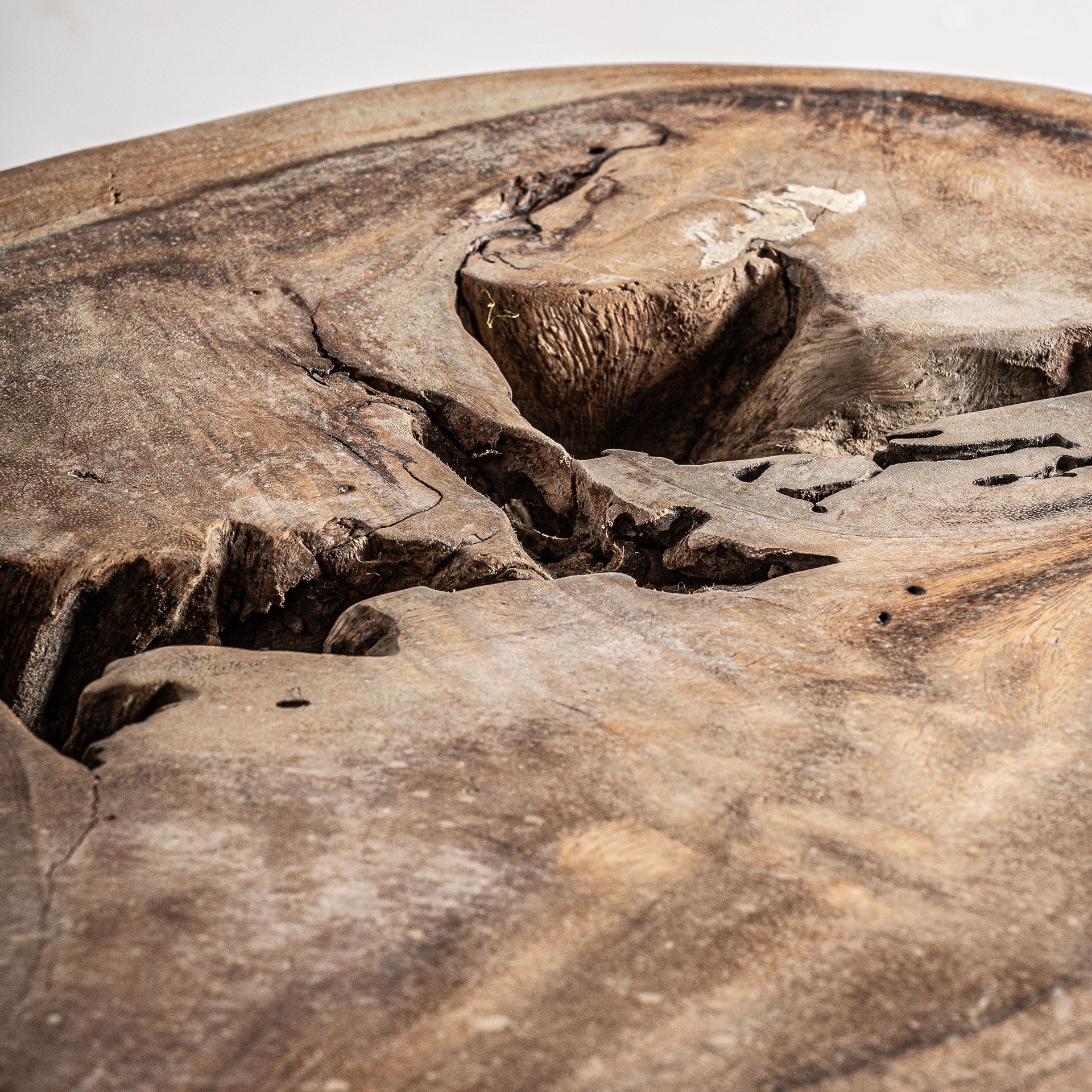 Table basse sculpturale suar naturel | VICAL Khaled | REMO-HOME, mobilier design et décoration d'intérieur