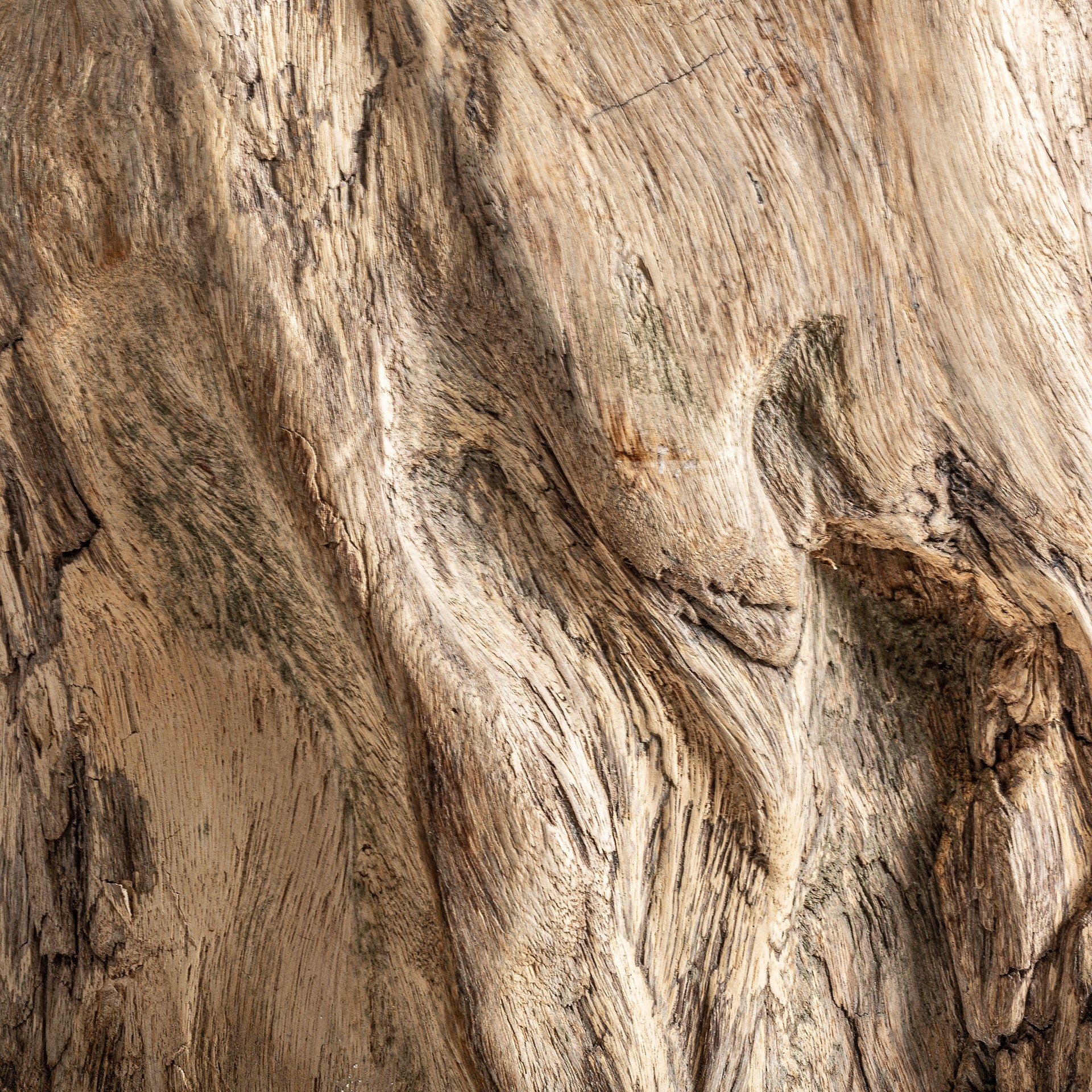 Table basse sculpturale suar naturel | VICAL Khaled | REMO-HOME, mobilier design et décoration d'intérieur