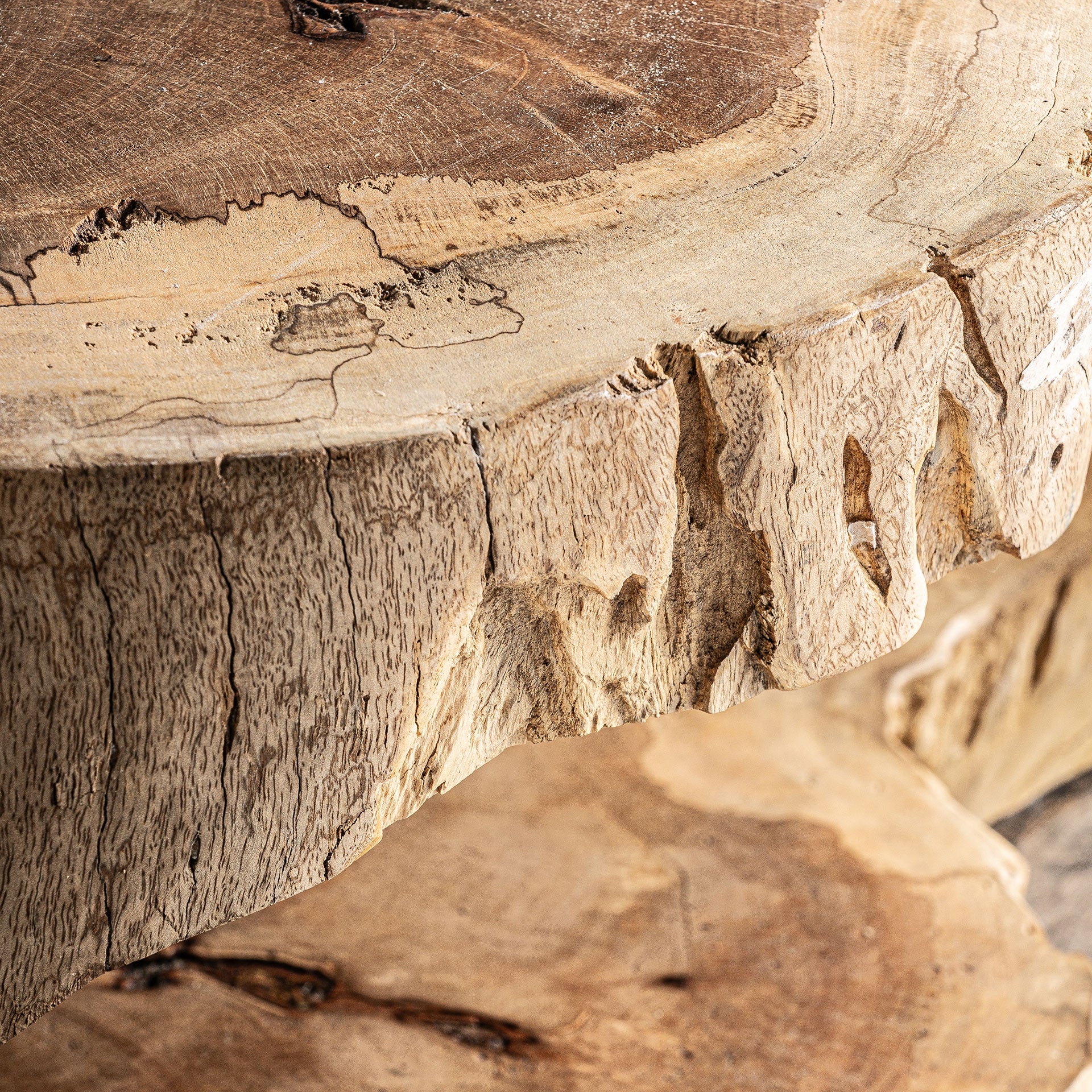 Table basse sculpturale suar naturel | VICAL Khaled | REMO-HOME, mobilier design et décoration d'intérieur