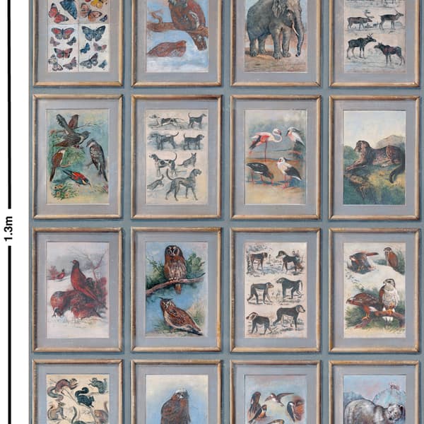Papier peint Zoology | Andrew Martin - vue principale | REMO-HOME