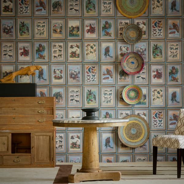 Papier peint Zoology | Andrew Martin - vue de détail | REMO-HOME