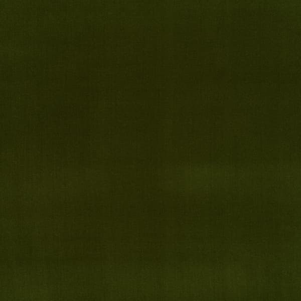 Tissu d'ameublement House Cotton Velvet Forest Green Cigarette and ... - vue principale | REMO-HOME