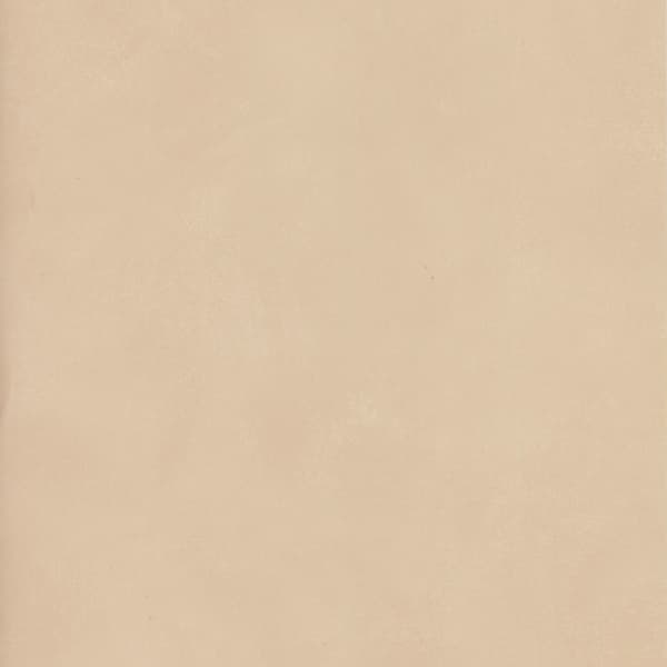 Papier peint Japan Flax | Andrew Martin - vue principale | REMO-HOME