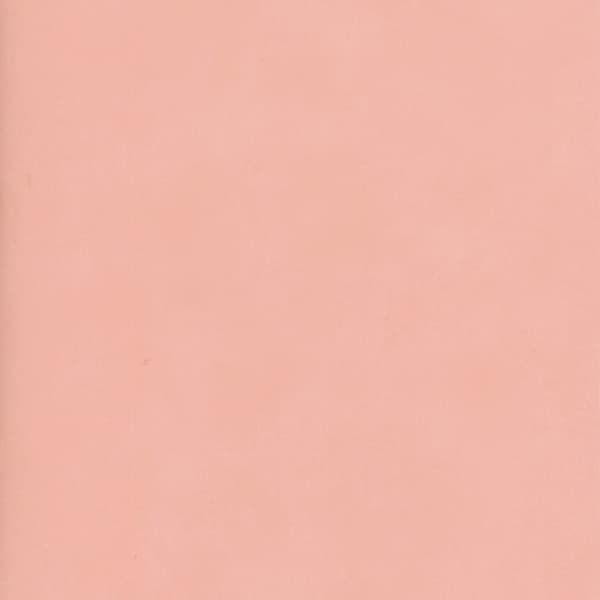 Papier peint Japan Millennial | Andrew Martin - vue principale | REMO-HOME