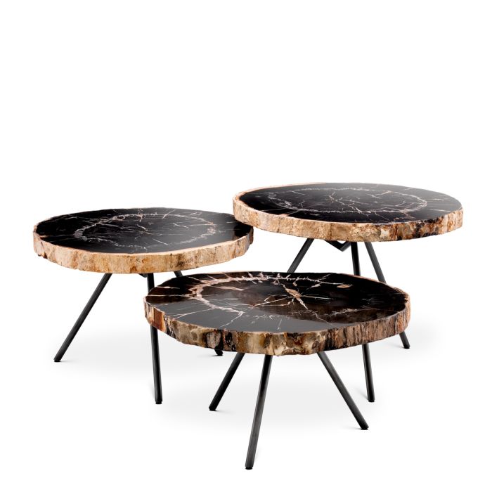 Table basse en bois pétrifié (lot de 3) | Eichholtz De Soto