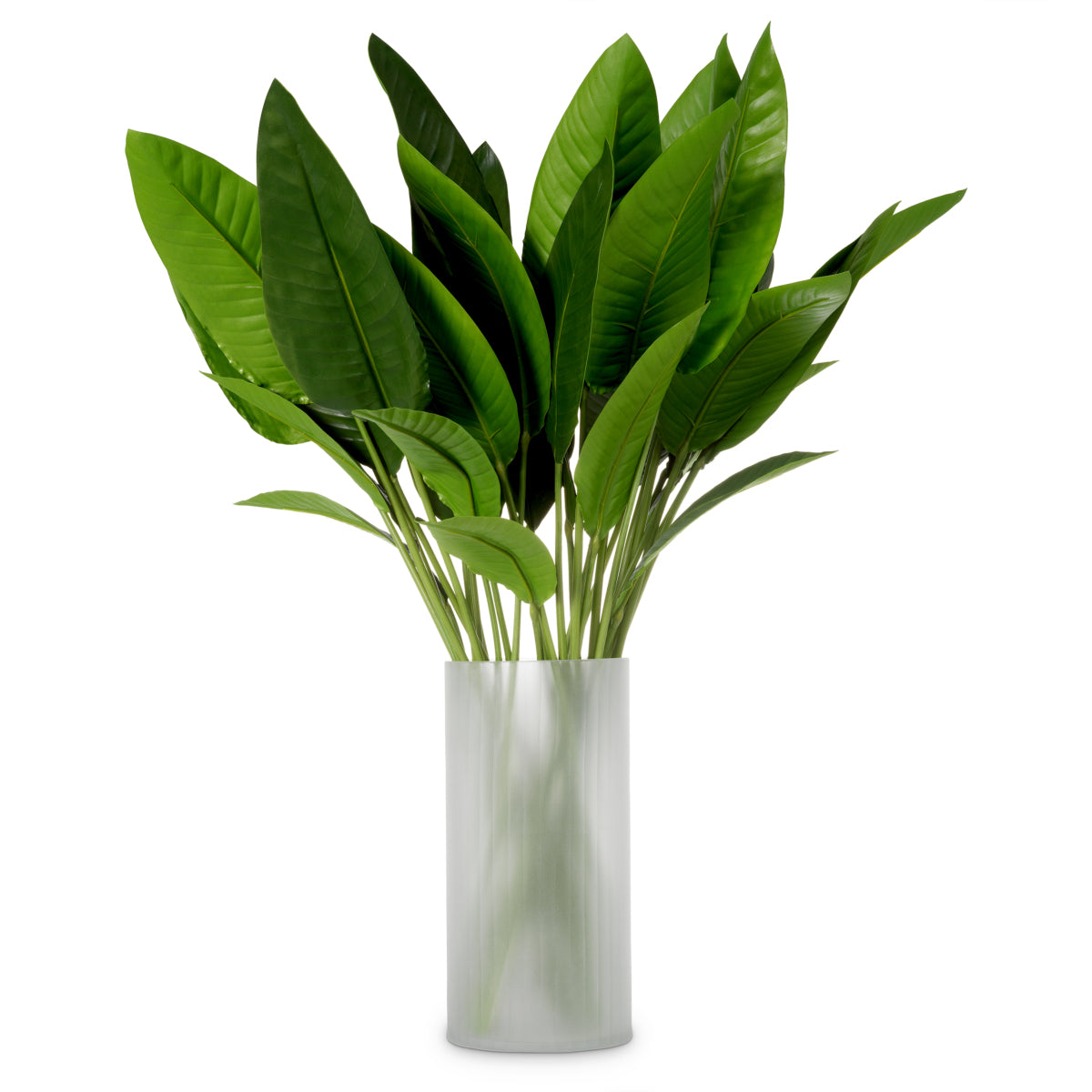 Fouquet de feuilles de Strelitzia 36 pcs | Eichholtz Bundle of Strelitzia leaves 36 pcs - vue principale | REMO-HOME