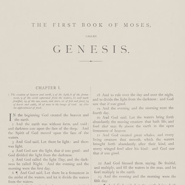 Papier peint Genesis | Andrew Martin - vue principale | REMO-HOME