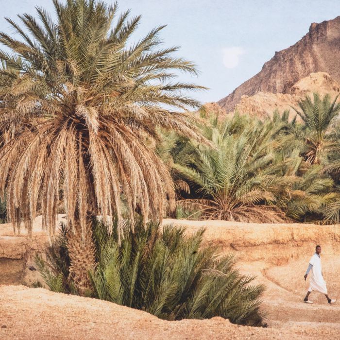 Photographie du désert marocain | Eichholtz Oasis