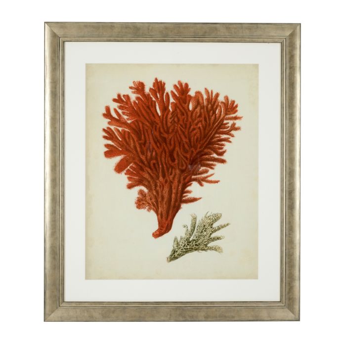 Impression d'art de coraux (lot de 6) | Eichholtz Corals