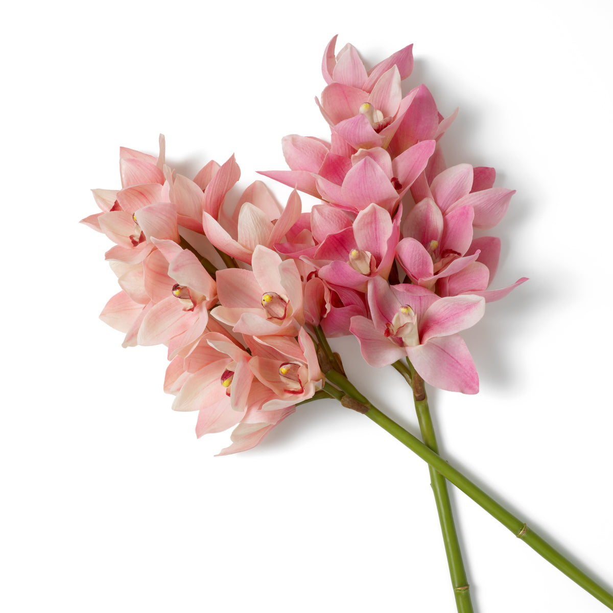 Bouquet de Cymbidium en tons de rose et de pêche | Eichholtz Bouquet of Cymbidium Orchids - vue d'ambiance | REMO-HOME