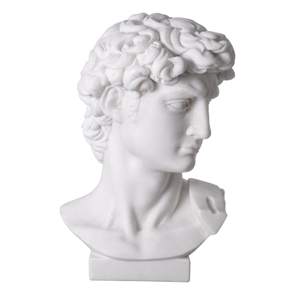 Sculpture Head en bronze avec socle en marbre | Eichholtz David - vue d'ambiance | REMO-HOME