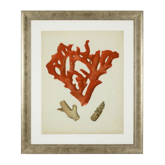 Impression d'art de coraux (lot de 6) | Eichholtz Corals