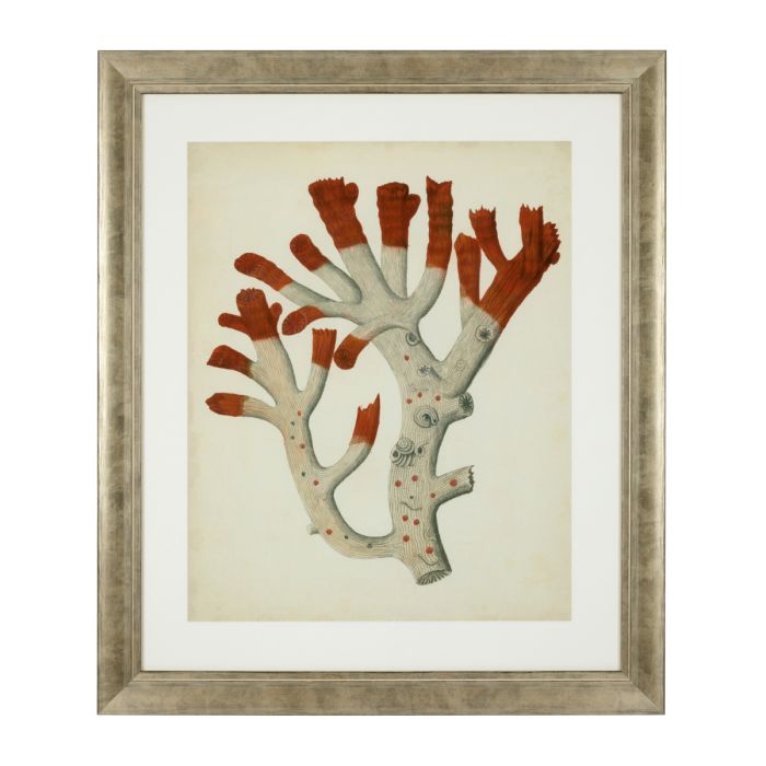 Impression d'art de coraux (lot de 6) | Eichholtz Corals